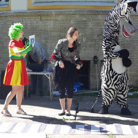 Интерактивная программа по ПДД