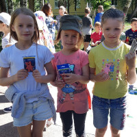 Интерактивная программа по ПДД