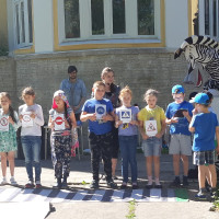 Интерактивная программа по ПДД