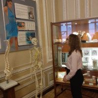 «Музей Гигиены»