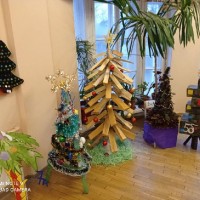 Ольгинские ёлки 2021