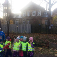 Целевые прогулки (ПДД)