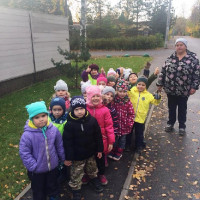 Целевые прогулки (ПДД)