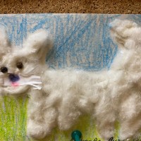 В детском саду поселились кошки!!!