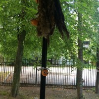 Выставка «Умелые ручки»