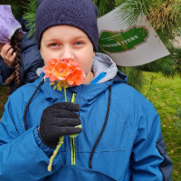 «Эколята открывают тайны городской природы»