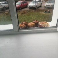 Приготовление блюд в 5-8 классах в 2021-2022 учебном году