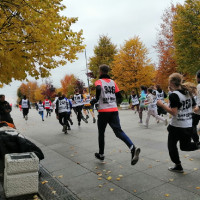 Учащиеся нашей школы сдавали нормативы ГТО 