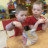  Малыши сажают лук