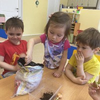  Малыши сажают лук