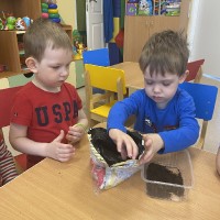  Малыши сажают лук