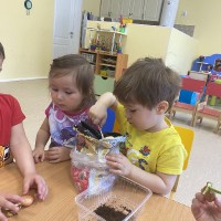  Малыши сажают лук