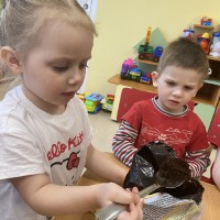  Малыши сажают лук