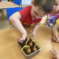  Малыши сажают лук