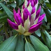 «Азбука экологии»