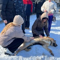 Благотворительная акция