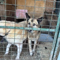 Благотворительная акция