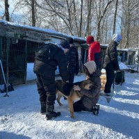 Благотворительная акция