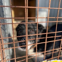 Благотворительная акция