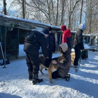 Благотворительная акция