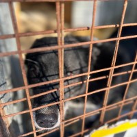 Благотворительная акция