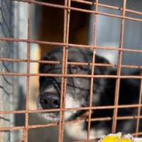 Благотворительная акция