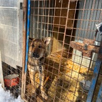 Благотворительная акция