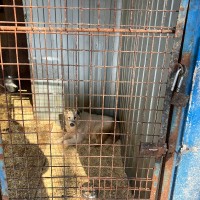 Благотворительная акция