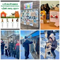 Благотворительная акция