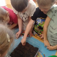 День Эколят