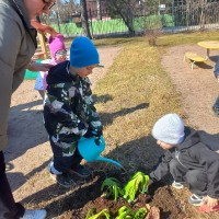 День Эколят