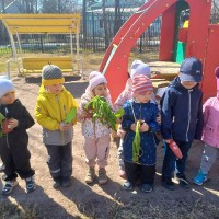 День Эколят