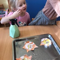 Исследовательская деятельность