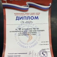 «Ледовое побоище»