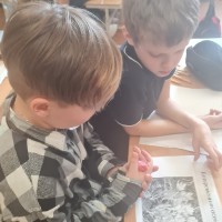 «Математика в мире растений»