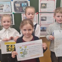 «Математика в мире растений»