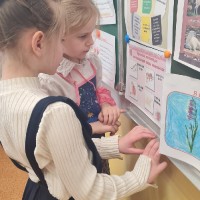 «Математика в мире растений»