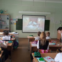 Международный день птиц