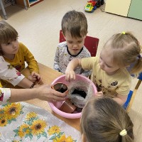 Посадка фасоли в группе раннего возраста