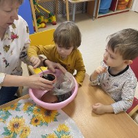 Посадка фасоли в группе раннего возраста