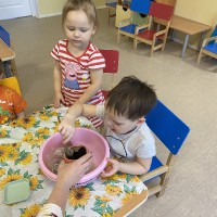 Посадка фасоли в группе раннего возраста