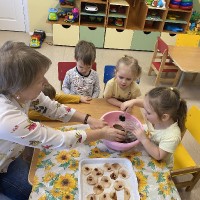 Посадка фасоли в группе раннего возраста