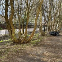 «Субботник»