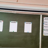 «В мире животных»