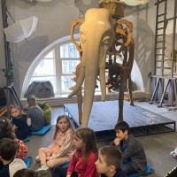 Волшебный мир театра