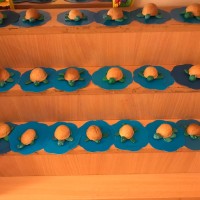 «Животные жарких стран»