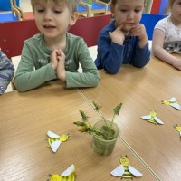 20 мая -Всемирный день Пчелы!