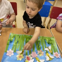 20 мая -Всемирный день Пчелы!