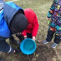  «Вредное  и полезное для планеты»