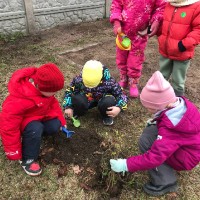  «Вредное  и полезное для планеты»